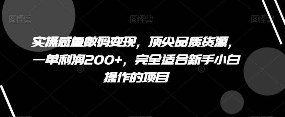 实操咸鱼数码变现，顶尖品质货源，一单利润200+，完全适合新手小白操作的项目【揭秘】 - 副业心选-副业心选