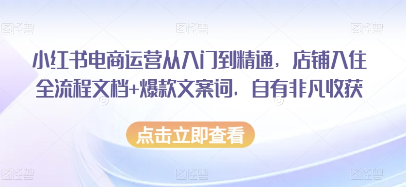 小红书电商运营从入门到精通，店铺入住全流程文档+爆款文案词，自有非凡收获 - 副业心选-副业心选