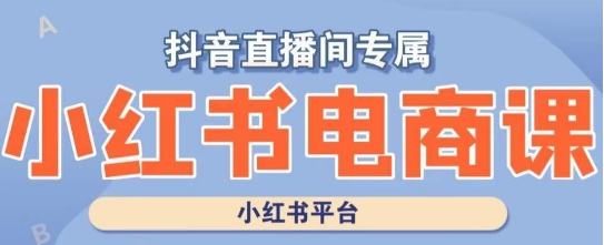 小红书电商高级运营课程，实操教学+案例分析-副业心选