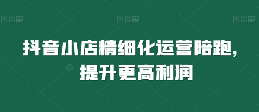 抖音小店精细化运营陪跑，提升更高利润 - 副业心选-副业心选