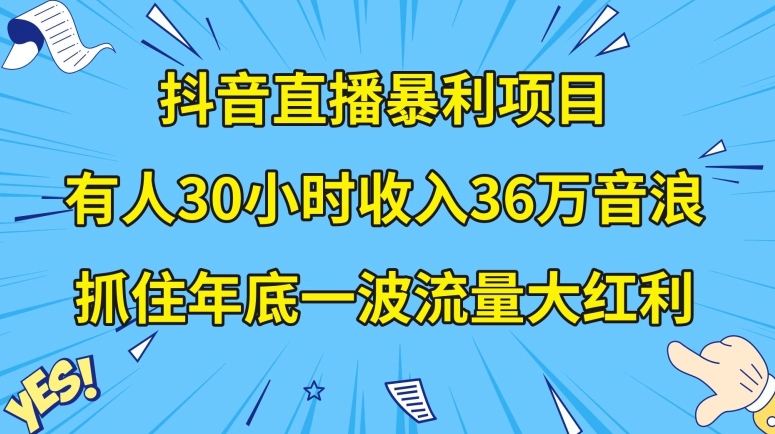 抖音直播暴利项目，有人30小时收入36万音浪，公司宣传片年会视频制作，抓住年底一波流量大红利【揭秘】-副业心选