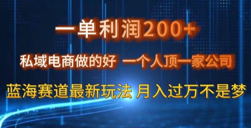 一单利润200私域电商做的好，一个人顶一家公司蓝海赛道最新玩法【揭秘】 - 副业心选-副业心选