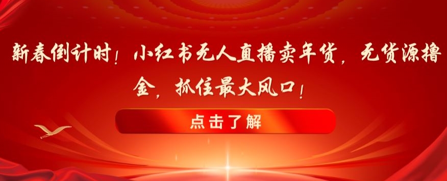 新春倒计时！小红书无人直播卖年货，无货源撸金，抓住最大风口【揭秘】 - 副业心选-副业心选