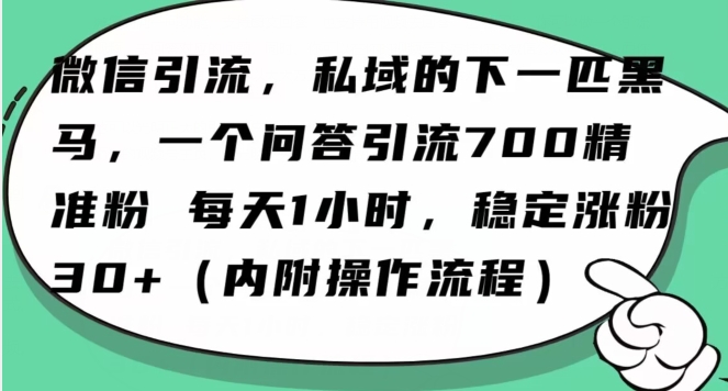 怎么搞精准创业粉？微信新赛道，每天一小时，利用Ai一个问答日引100精准粉-副业心选