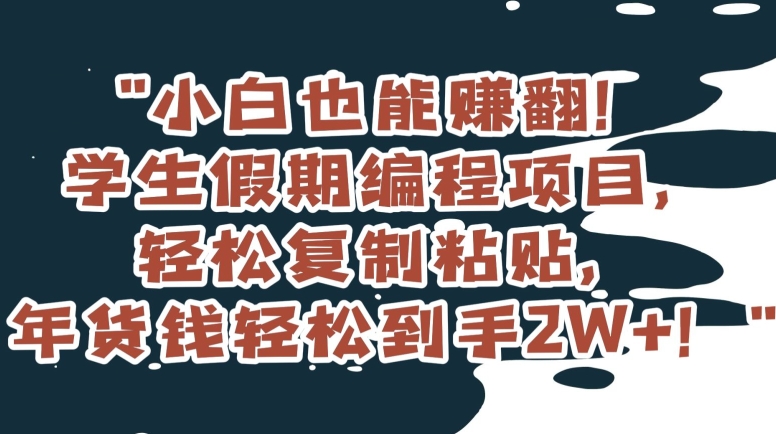 小白也能赚翻！学生假期编程项目，轻松复制粘贴，年货钱轻松到手2W+【揭秘】 - 副业心选-副业心选