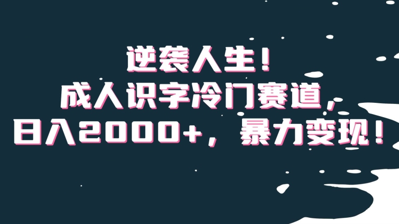 逆袭人生！成人识字冷门赛道，日入2000+，暴力变现！【揭秘】 - 副业心选-副业心选