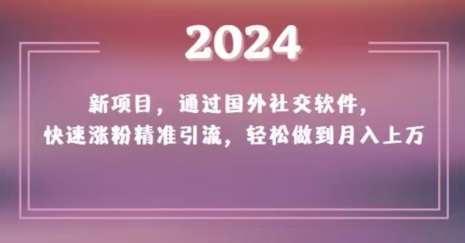 2024新项目，通过国外社交软件，快速涨粉精准引流，轻松做到月入上万【揭秘】 - 副业心选-副业心选