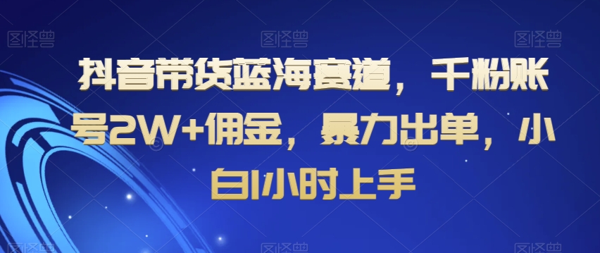 抖音带货蓝海赛道，千粉账号2W+佣金，暴力出单，小白1小时上手【揭秘】 - 副业心选-副业心选