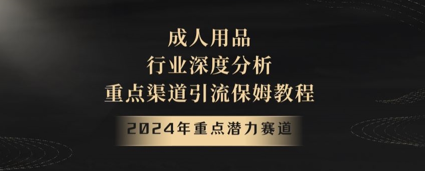 2024年重点潜力赛道，成人用品行业深度分析，重点渠道引流保姆教程【揭秘】 - 副业心选-副业心选