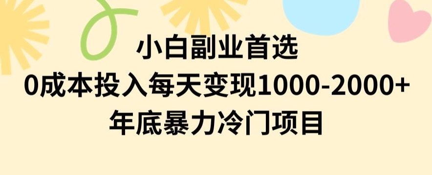小白副业首选，0成本投入，每天变现1000-2000年底暴力冷门项目【揭秘】 - 副业心选-副业心选