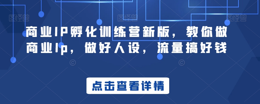 商业IP孵化训练营新版，教你做商业Ip，做好人设，流量搞好钱 - 副业心选-副业心选