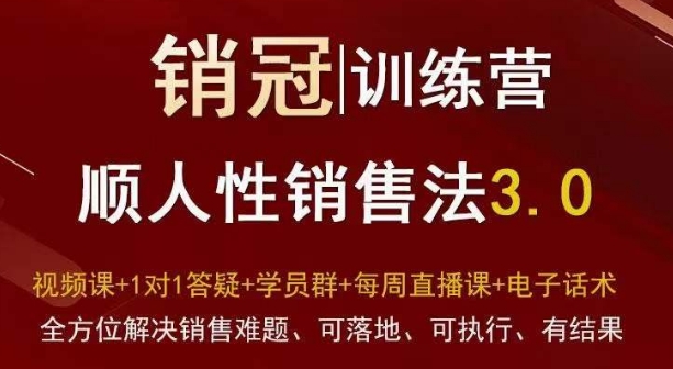 爆款！销冠训练营3.0之顺人性销售法，全方位解决销售难题、可落地、可执行、有结果 - 副业心选-副业心选