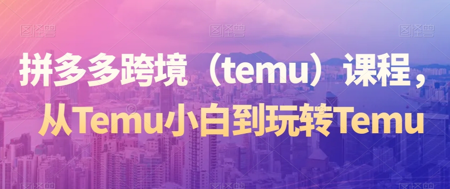 拼多多跨境（temu）课程，从Temu小白到玩转Temu-副业心选