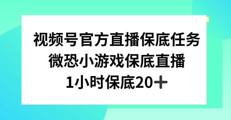 视频号直播任务，微恐小游戏，1小时20+-副业心选