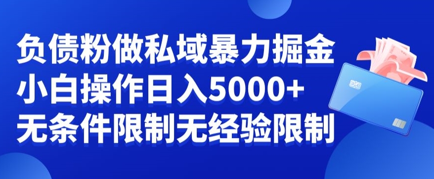 负债粉私域暴力掘金，小白操作入5000，无经验限制，无条件限制-副业心选