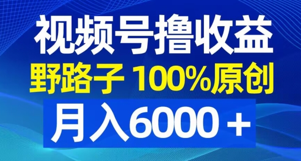 视频号野路子撸收益，100%原创，条条爆款，月入6000＋-副业心选