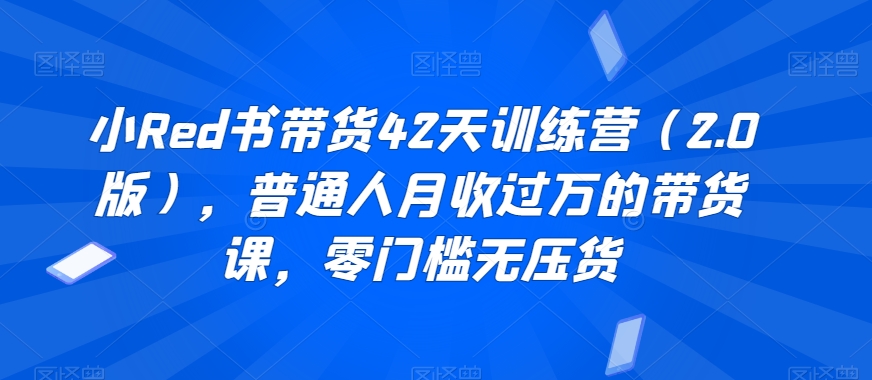 小Red书带货42天训练营（2.0版），普通人月收过万的带货课，零门槛无压货-副业心选