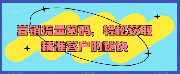 营销流量密码，轻松获取精准客户的秘诀 - 副业心选-副业心选
