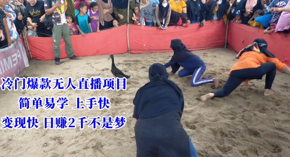 冷门爆款无人直播项目，简单易学上手快，变现快日赚2千不是梦-副业心选