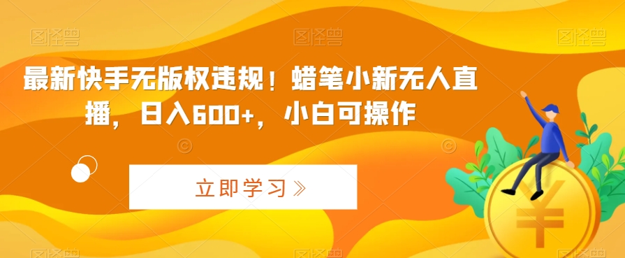 最新快手无版权违规！蜡笔小新无人直播，日入600+，小白可操作 - 副业心选-副业心选