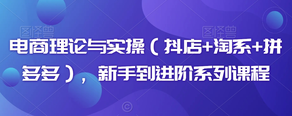 电商理论与实操（抖店+淘系+拼多多），新手到进阶系列课程 - 副业心选-副业心选