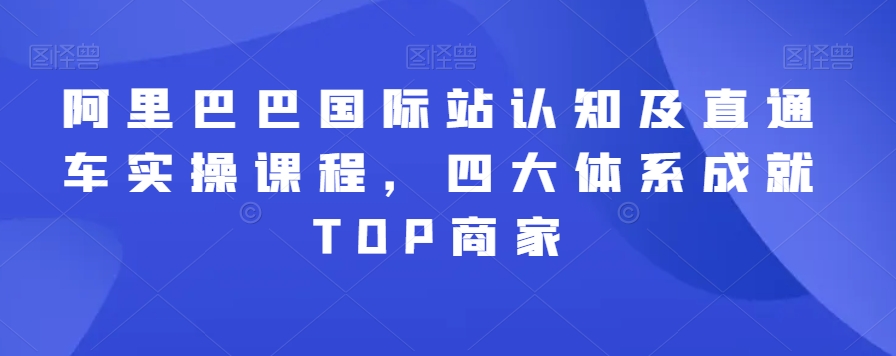 阿里巴巴国际站认知及直通车实操课程，四大体系成就TOP商家-副业心选