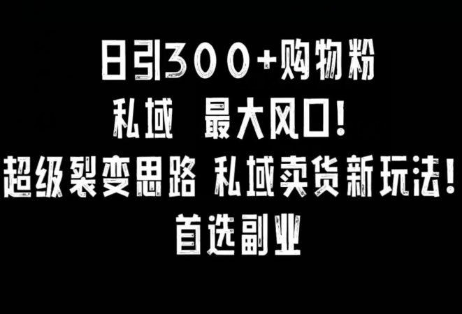 日引300+购物粉，超级裂变思路，私域卖货新玩法，小红书首选副业 - 副业心选-副业心选