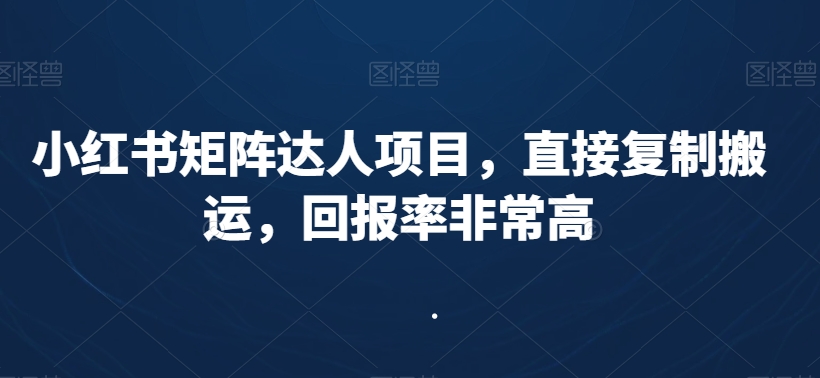 小红书矩阵达人项目，直接复制搬运，回报率非常高 - 副业心选-副业心选