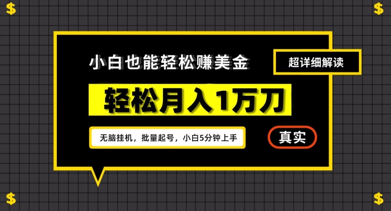 谷歌看广告撸美金2.0，无脑挂机，多号操作，月入1万刀 - 副业心选-副业心选