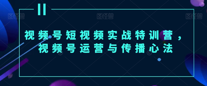 视频号短视频实战特训营，视频号运营与传播心法 - 副业心选-副业心选