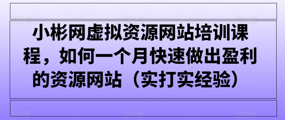 小彬网虚拟资源网站培训课程，如何一个月快速做出盈利的资源网站（实打实经验） - 副业心选-副业心选
