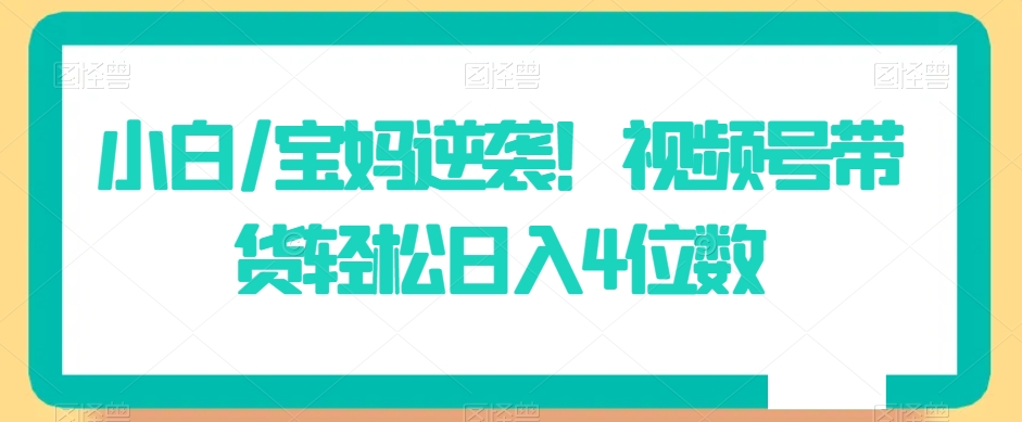 小白/宝妈逆袭！视频号带货轻松日入4位数 - 副业心选-副业心选