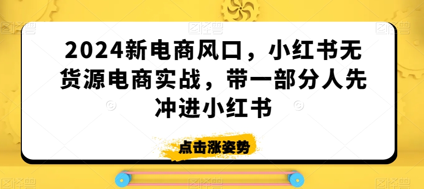 2024新电商风口，小红书无货源电商实战，带一部分人先冲进小红书 - 副业心选-副业心选
