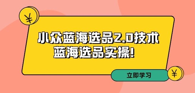 拼多多培训第33期：小众蓝海选品2.0技术-蓝海选品实操！ - 副业心选-副业心选