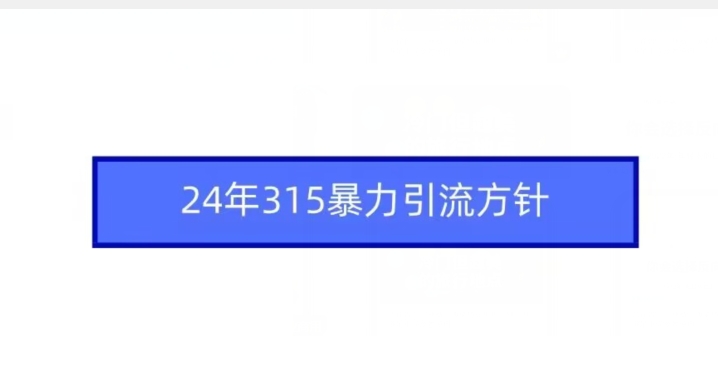 24年315暴力引流方针 - 副业心选-副业心选