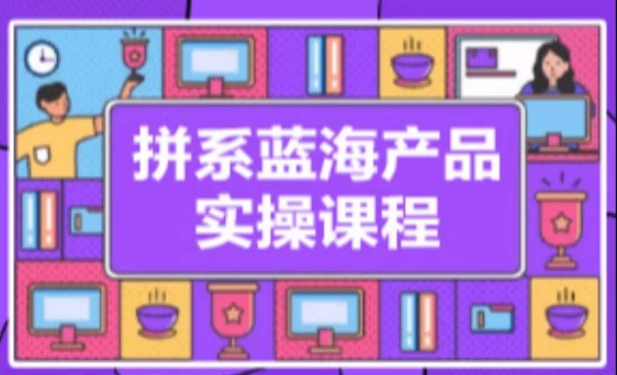 拼系冷门蓝海产品实操课程，从注册店铺到选品上架到流量维护环环相扣 - 副业心选-副业心选