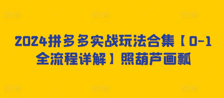 2024拼多多实战玩法合集【0-1全流程详解】照葫芦画瓢 - 副业心选-副业心选