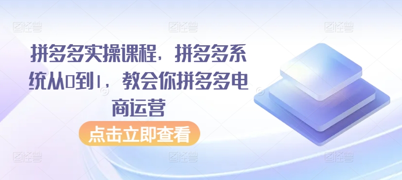拼多多实操课程，拼多多系统从0到1，教会你拼多多电商运营 - 副业心选-副业心选