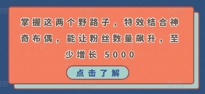 掌握这两个野路子，特效结合神奇布偶，能让粉丝数量飙升，至少增长 5000 - 副业心选-副业心选