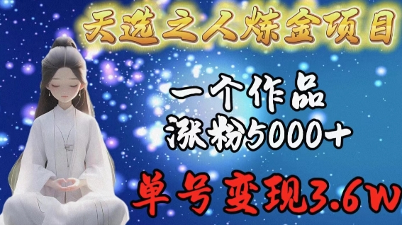 天选之人炼金项目，一个作品涨粉5000+，单号变现3.6w - 副业心选-副业心选