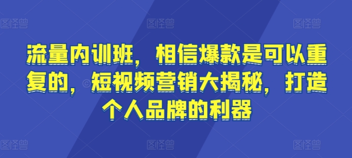 流量内训班，相信爆款是可以重复的，短视频营销大揭秘，打造个人品牌的利器 - 副业心选-副业心选
