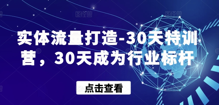 实体流量打造-30天特训营，30天成为行业标杆 - 副业心选-副业心选