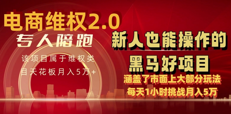 电商维权 4.0 如何做到月入 5 万+每天 1 小时新人也能快速上手【仅揭秘】-副业心选