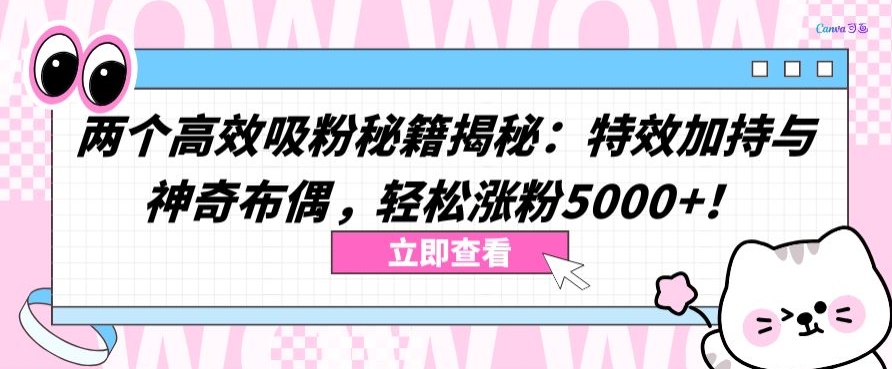 两个高效吸粉秘籍揭秘：特效加持与神奇布偶，轻松涨粉5000+-副业心选