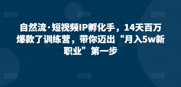 自然流·短视频IP孵化手，14天百万爆款了训练营，带你迈出“月入5w新职业”第一步-副业心选