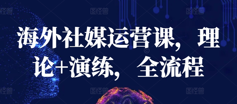 海外社媒运营课，理论+演练，全流程 - 副业心选-副业心选