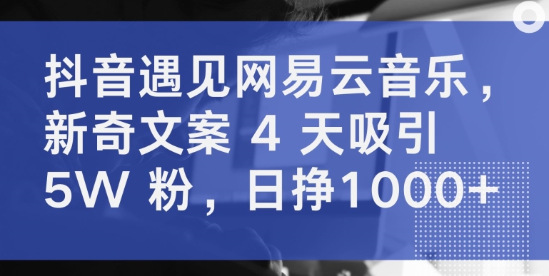 抖音遇见网易云音乐，新奇文案 4 天吸引 5W 粉，日挣1000+ - 副业心选-副业心选