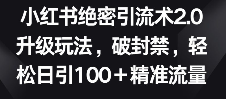 小红书绝密引流术2.0升级玩法，破封禁，轻松日引100+精准流量-副业心选