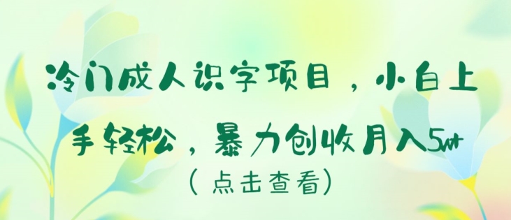 冷门成人识字项目，小白上手轻松，暴力创收月入5w+ - 副业心选-副业心选