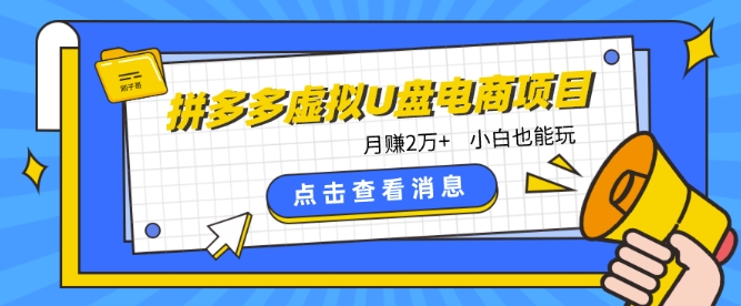 拼多多虚拟U盘电商红利项目：月赚2万+，新手小白也能玩 - 副业心选-副业心选
